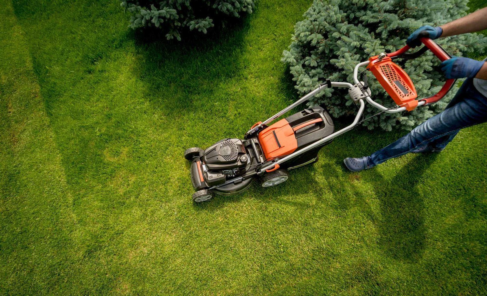 Lawn Mowing and Garden Maintenance
